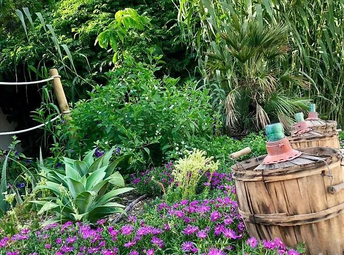 Bella Colina I Vintage 1953 3*